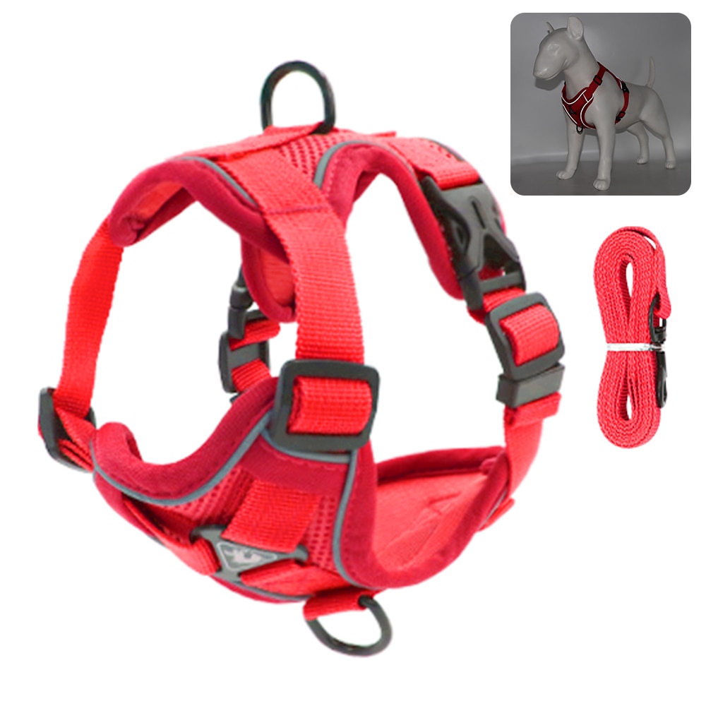 Coleira Para Gatos Para Caminhadas